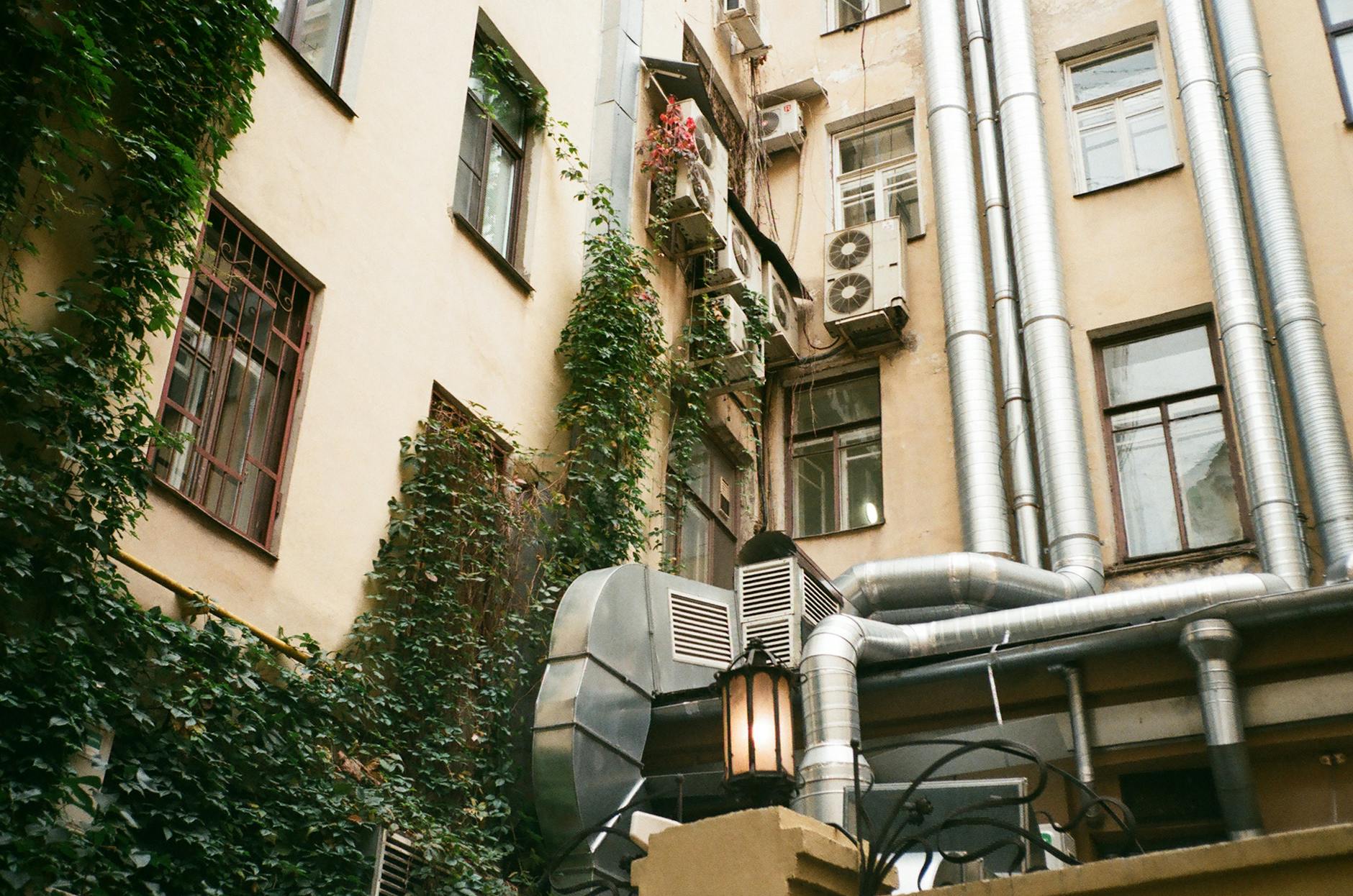 Bluszcz pnący się po ścianie nowoczesnego budynku z metalowymi rurami