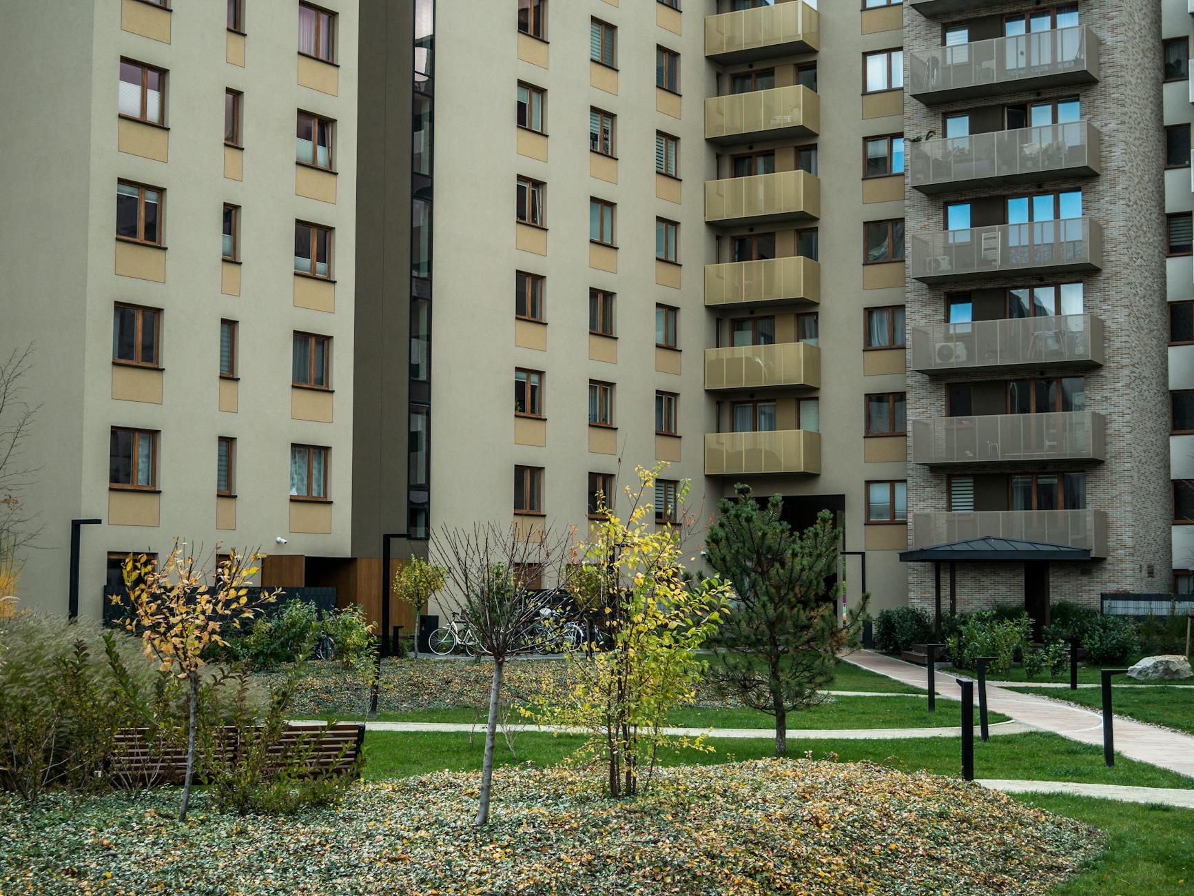 Dziedziniec między wysokimi blokami z gęstą zielenią i alejkami