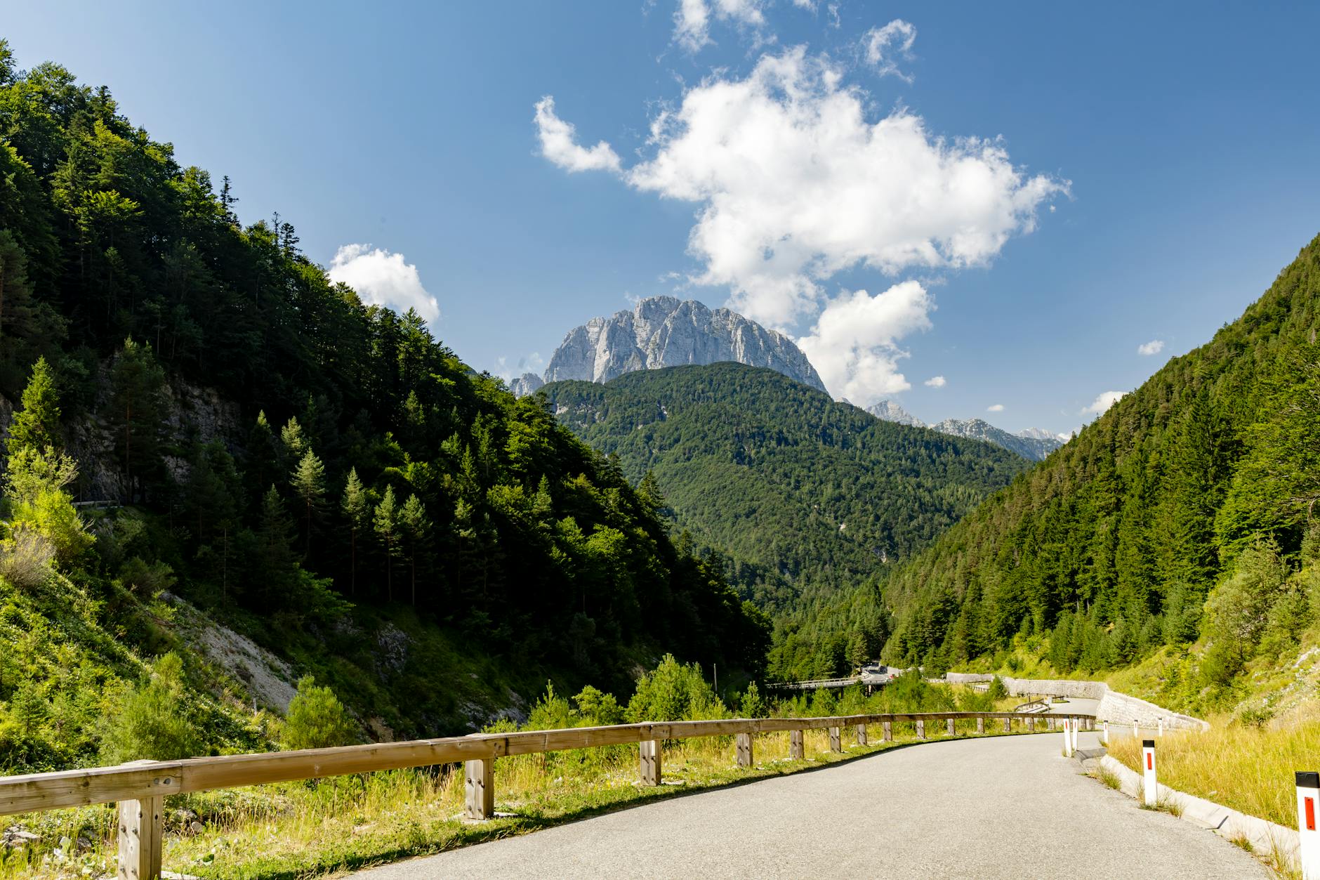Kręta szosa wśród zielonych lasów na tle alpejskich szczytów