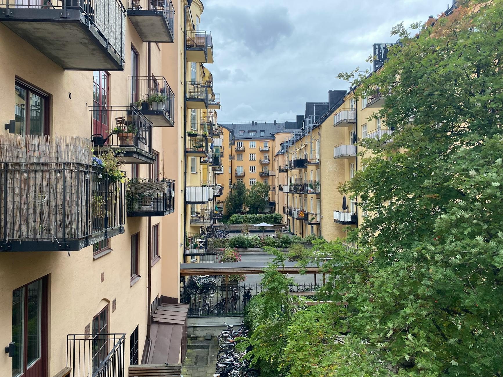 Zielone podwórko między żółtymi blokami mieszkalnymi w mieście